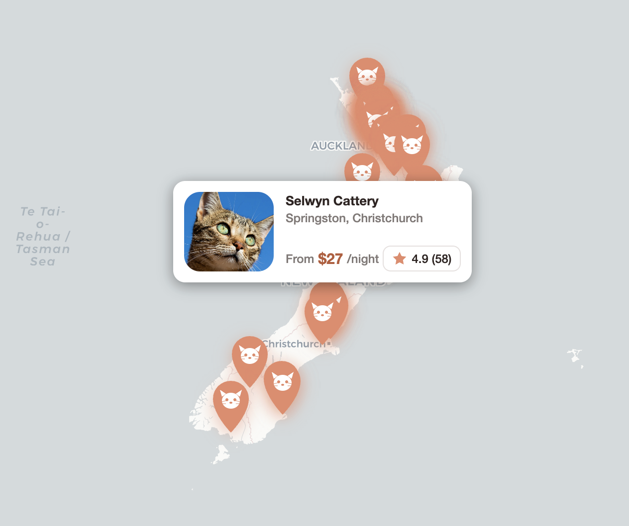 PawSpot platform architected for evolution from static site to headless CMS